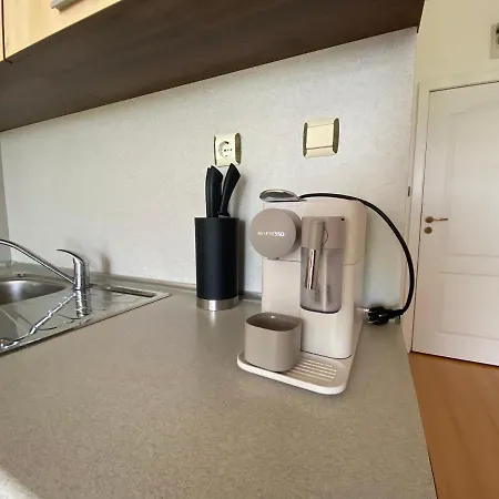 Sunny Day 5 - 251 Studio